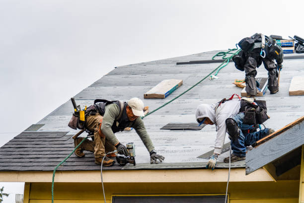 Professional Gutter Installation technician working in Patterson, LA